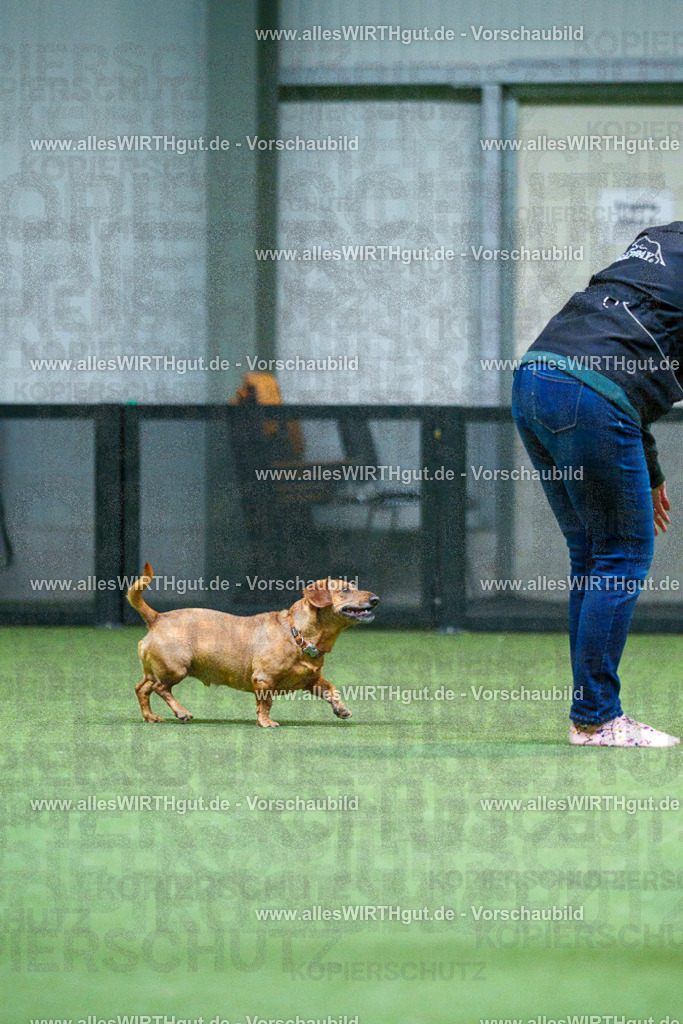 7R501934 | Professionelle Tierfotografie in Mönchengladbach von Daniel Wirth (allesWIRTHgut). Liebevolle & natürliche Bilder von Hunden & Katzen für unvergessliche Erinnerungen.