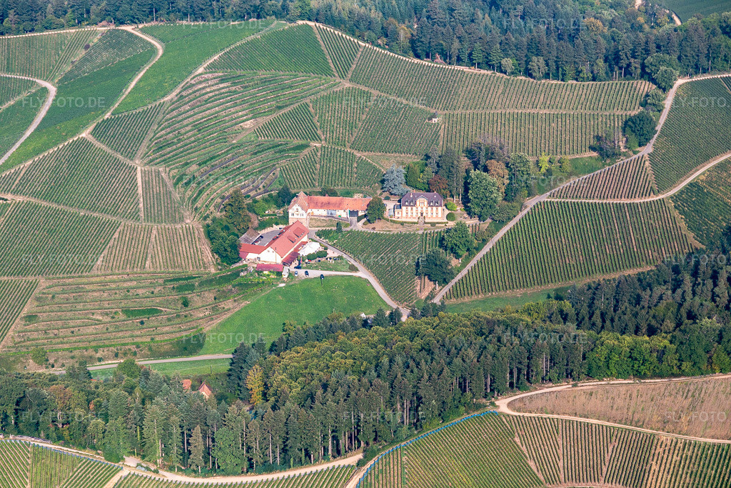 Luftbild: Weinberge am Winzerhof im Ortsteil Heimbach in Durbach im Bundesland Baden-Württemberg in Deutschland. Foto: IMG_008952.jpg vom 20.09.2020 durch Werner Riehm/FLY-FOTO.de