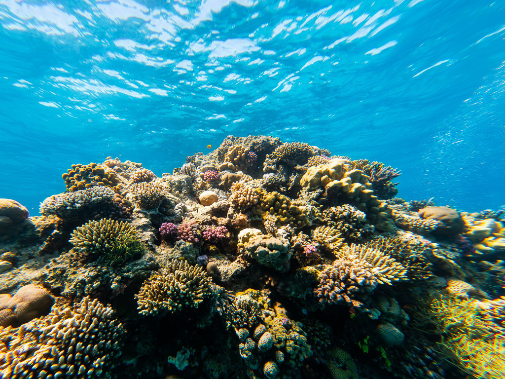 GOPR0840-Verbessert-RR | C:\DCIM\100GOPRO\GOPR0840.GPR - Realisiert mit Pictrs.com