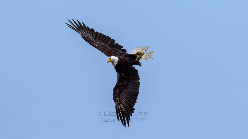 P1628525-LR | Natur im Moment - Realisiert mit Pictrs.com