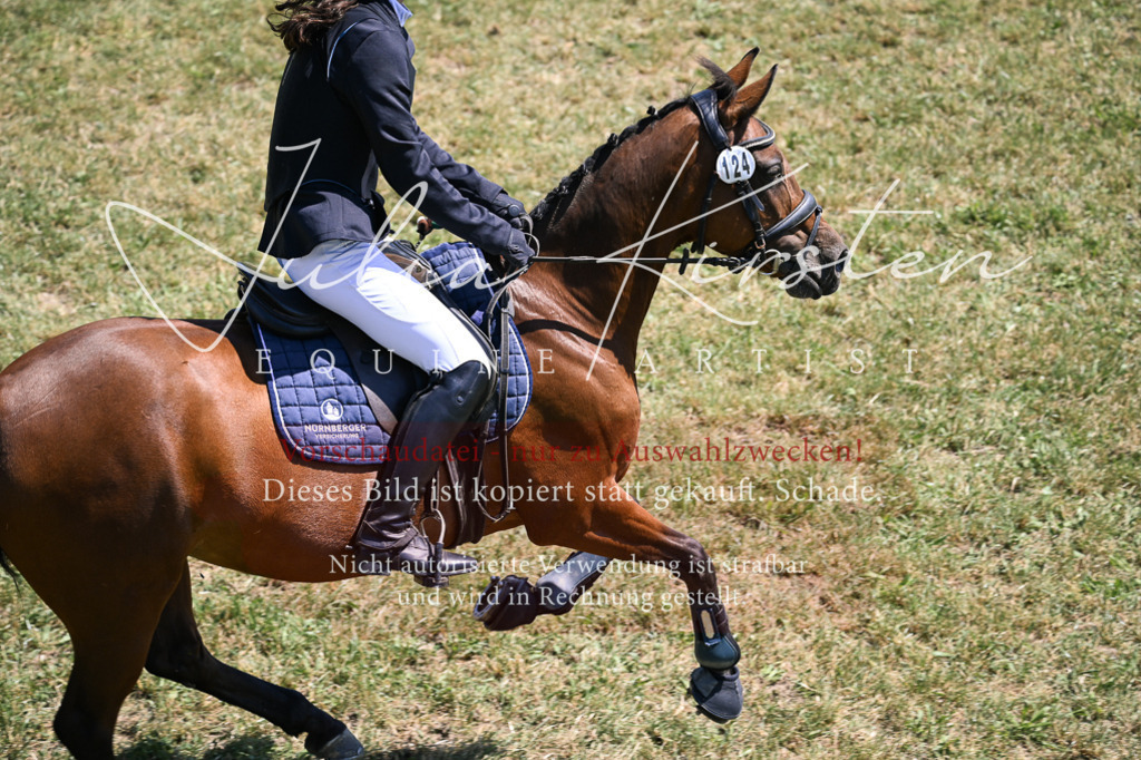 DSC_0041 | Pferde- und Turnierfotografie in Westsachsen. Pferdeportraits, Auftragszeichnungen und intuitive Kunst.