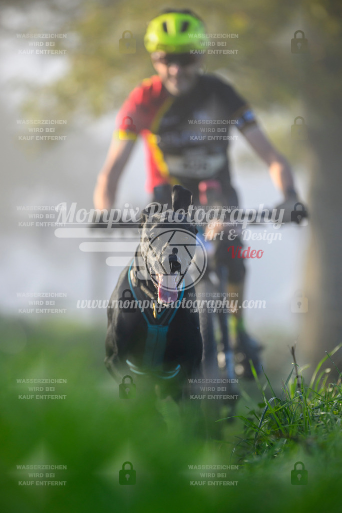 MompixPhotography_20TSB_E3_Bike-55 | PayLife