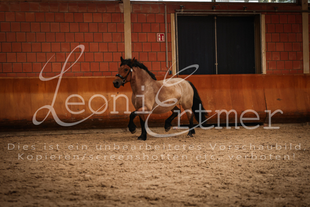 SaFL00359 | Leoni Ertmer Photography - Realisiert mit Pictrs.com