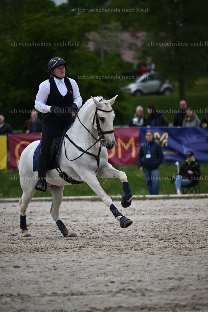 PI26_SP_Sara_Landvogt_226_4755.JPG | working equitationturnier fotograf videograf stoibphotography marixx film working equitation deutschland reitsport turnierfotografie eventfotografie equestrian events