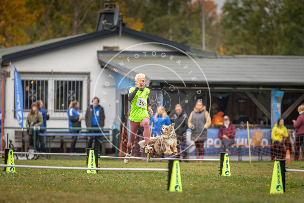 Pfotenfotografie_DV3A1675 | Hundefotografie, Tierfotograf, Pfotenfotografie, Fotoshooting Hund, Hunde Portrait, Hundesport, Hundeportraits, Heideshooting, Hunde, Sportfotograf, Hundefotograf, Turnierhundsport, THS,  - Realisiert mit Pictrs.com