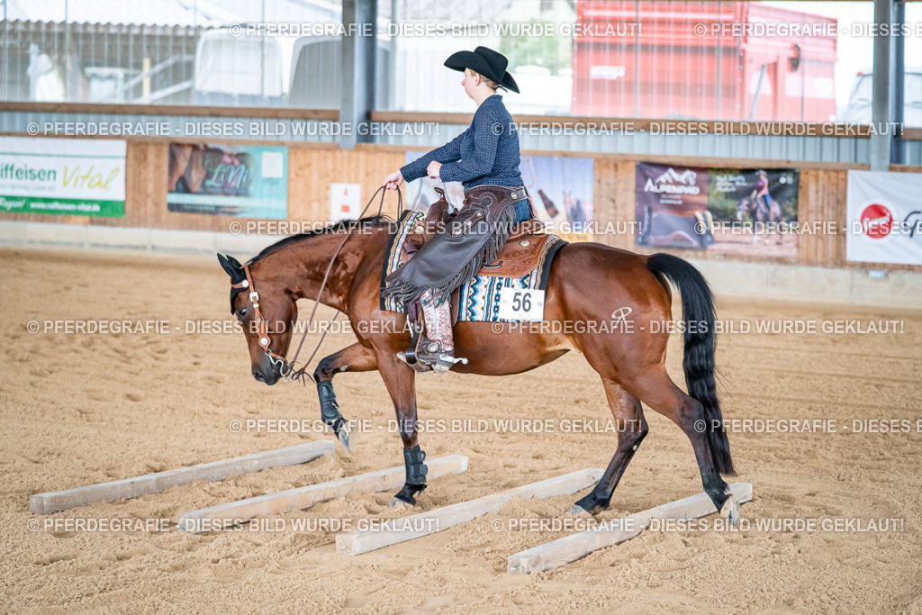 DSC08473 | Pferdegrafie