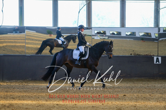 IMG_3166 | Turniersportfotografie; Pferdefotografie; Dressurfotografie