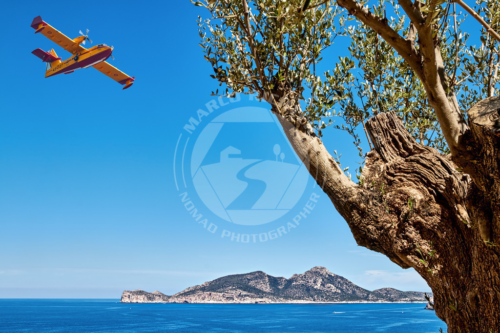 Architektur und Immobilienfotos | Bildmaterial (Honorarfrei, bei Quellenangabe)

Sämtliche Bilder dieser Serie stehen zur honorarfreien Verwendung zur Verfügung. Bedingung ist die Nennung des Copyrights: Foto Marco Richter oder www.mallorco.com und eine Autorisierung zur Nutzung

für unterlassene, unvollständig, falsch platzierte oder nicht zuordnungsfähige Urhebervermerke ist für jeden Einzelfall eine Vertragsstrafe in Höhe des fünffachen Nutzungshonorars zu zahlen, vorbehaltlich weitergehender Schadensersatzansprüche.!!!Ebenso ist der Weiterverkauf des Bildmaterials an Dritte ohne ausdrückliche Genehmigung von Marco Richter (Mallorco Photography) untersagt. Diese Regelung gilt auch bei jeglicher unberechtigt (ohne Zustimmung durch den Fotograf Marco Richter (Mallorco Photography) erfolgten Nutzung, Verwendung, Wiedergabe oder Weitergabe des Bildmaterials.