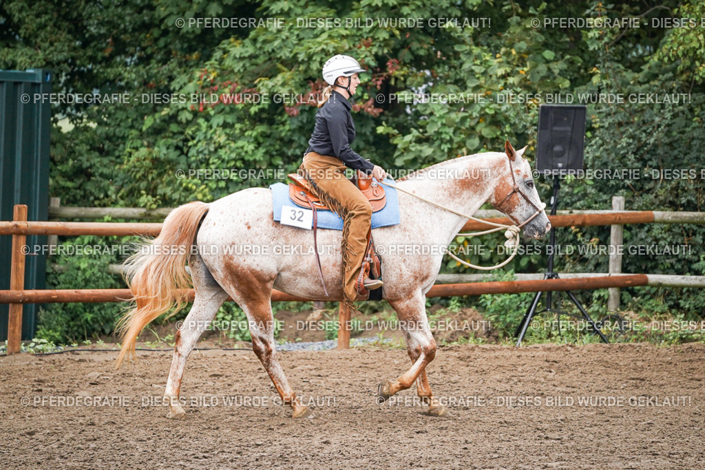 DSC01966 | Pferdegrafie