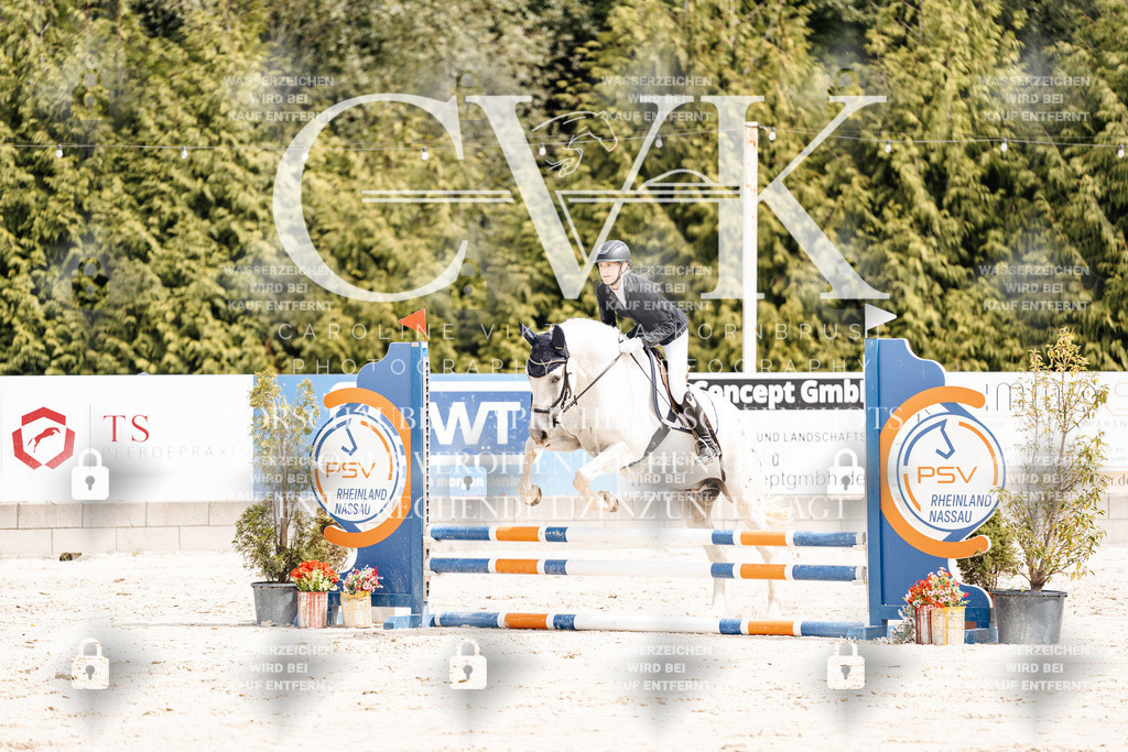 CK906437 | Turnierfotografie Pferdefotografie Trier Rheinland-Pfalz Pferdesport Reitsport Tierfotografie Sportfotografie Pferdevideo Pferdevideografie Equestrianvideography equestrianphotography  - Realisiert mit Pictrs.com