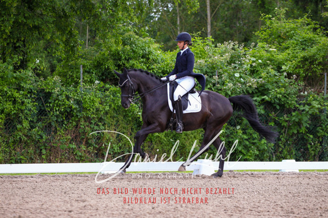 DKP41682 | Turnierfotos kaufen im Webshop von Daniel Kuhl Photography – entdecke professionelle Reitsportfotos aus Turnieren & Events. Hochwertige Turnierbilder online bestellen & sichern. Jetzt Fotos von Reitsportturnieren kaufen!
