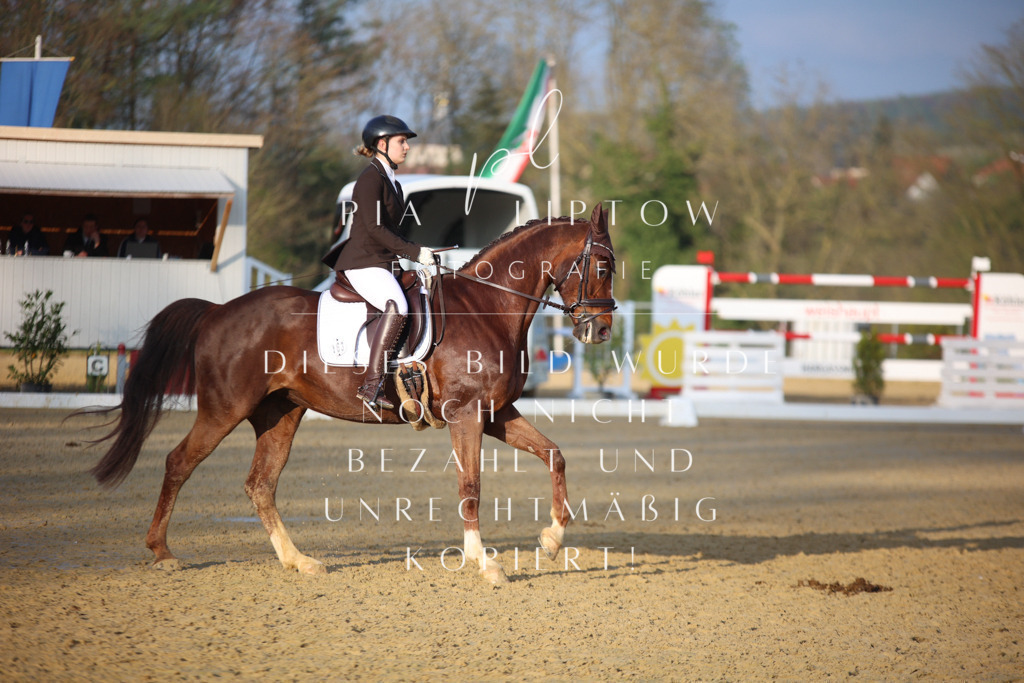 IMGT9204 | pl-fotografie