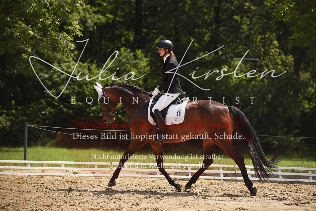 DSC_1068 | Pferde- und Turnierfotografie in Westsachsen. Pferdeportraits, Auftragszeichnungen und intuitive Kunst.