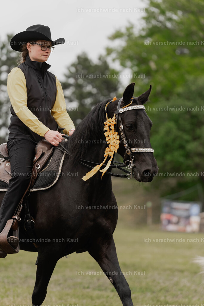 Showprogramm-186 | working equitationturnier fotograf videograf stoibphotography marixx film working equitation deutschland reitsport turnierfotografie eventfotografie equestrian events
