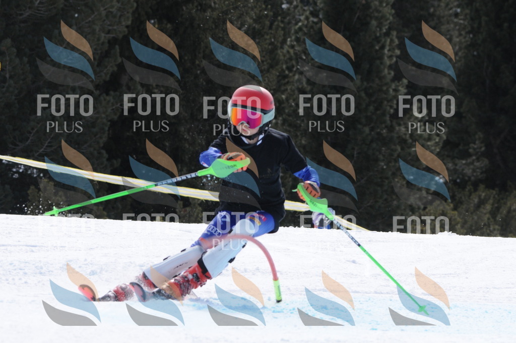 C9928 | holidayphoto