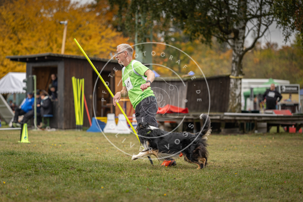 Pfotenfotografie_DV3A6235 | Hundefotografie, Tierfotograf, Pfotenfotografie, Fotoshooting Hund, Hunde Portrait, Hundesport, Hundeportraits, Heideshooting, Hunde, Sportfotograf, Hundefotograf, Turnierhundsport, THS,  - Realisiert mit Pictrs.com
