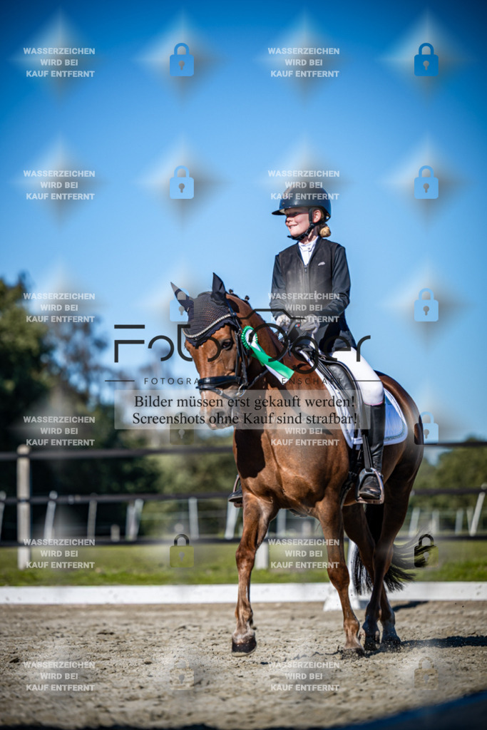 2026-09-Lohne-11-0045 | Entdecke hochwertige Reitturnierfotos von Foto Oger. Professionell, emotional und authentisch – jetzt Lieblingsmomente im Shop bestellen.Deutschlandweite Turnierfotografie. - Realisiert mit Pictrs.com