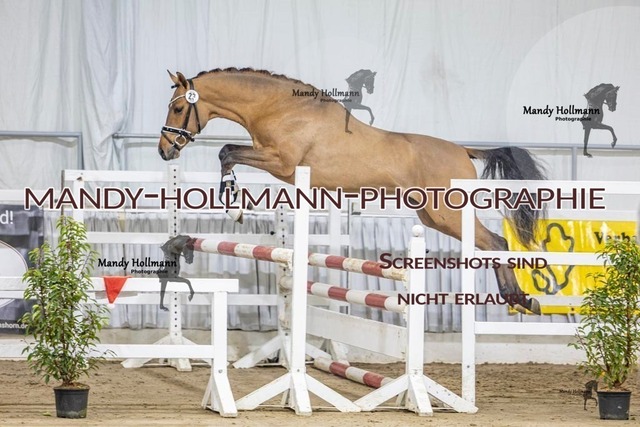 23 (25) | mandyhollmannphotographie