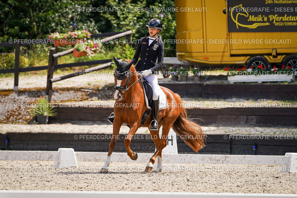 DSC00782 | Pferdegrafie