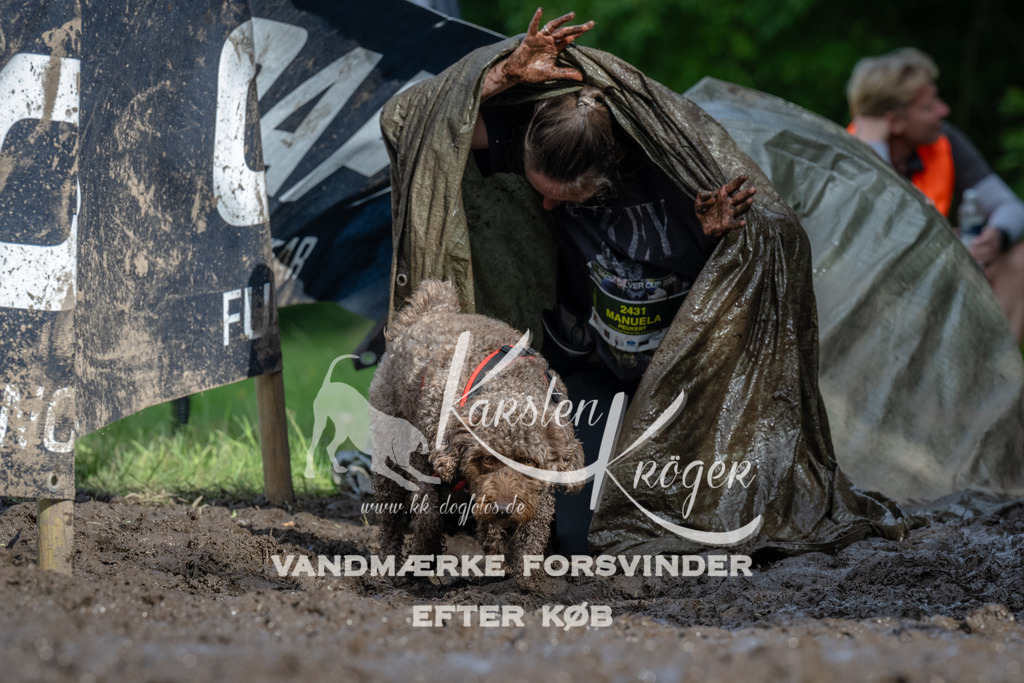 1706_ZZ91117 | kk-dogfotos