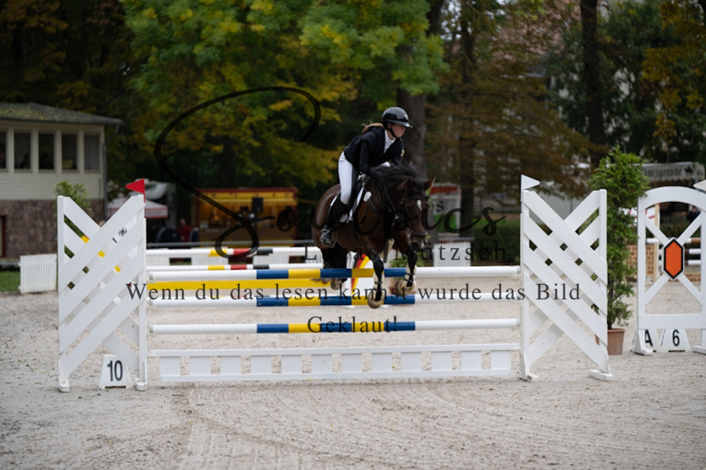 A7V00271 | Pferdefotograf