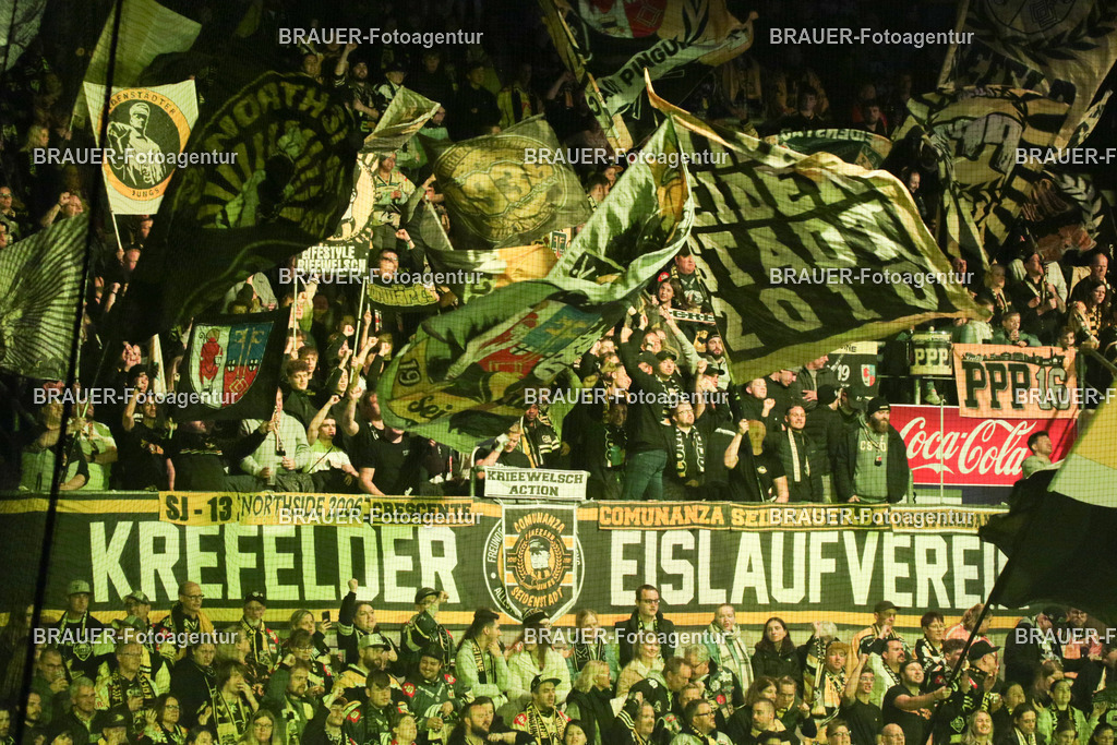 02.11.2025: DEL2  Krefeld Pinguine - Eispiraten Crimmitschau | Krefeld, Deutschland, 02.11.2025: Fans der Krefeld Pinguine während des DEL2-Spiels zwischen Krefeld Pinguine - Eispiraten Crimmitschau am 02.11. 2025 in der Yayla-Arena in Krefeld, Deutschland. (Foto Ralph Görtz / Brauer-Fotoagentur)