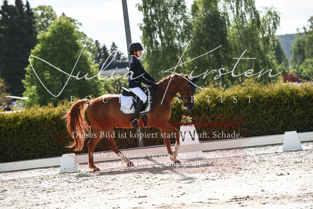 20230518_JK-Röhrsdorf-09-1512 | Pferde- und Turnierfotografie in Westsachsen. Pferdeportraits, Auftragszeichnungen und intuitive Kunst.