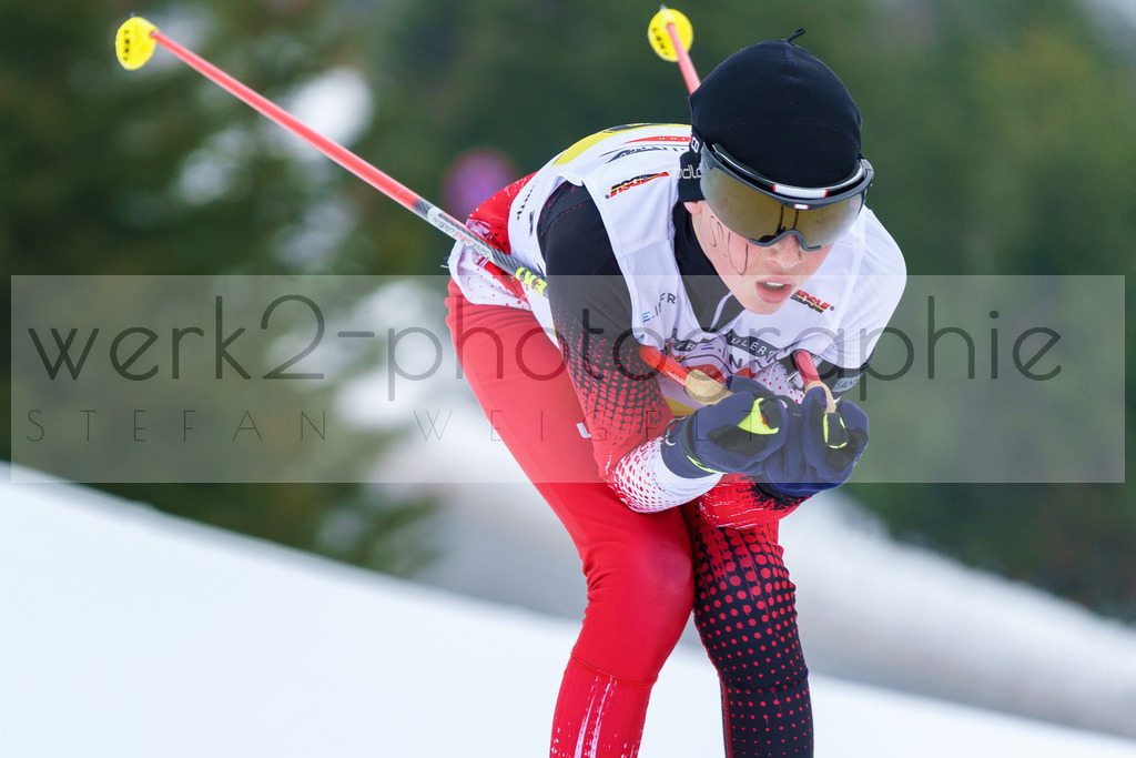 DSC Arber | Bayerischer Wald am 9. bis 12. Februar 2023
