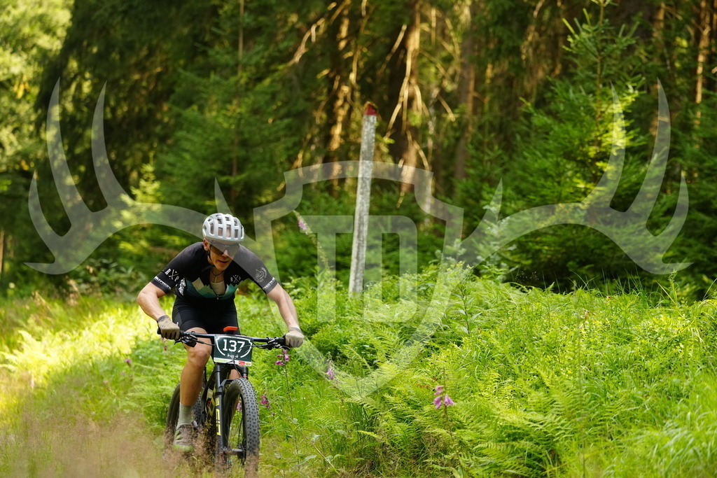 FC103290 | Fotogalerie der Treibjagd im Dunkelwald - Dein MTB Etappenrennen im Erzgebirge - Realisiert mit Pictrs.com