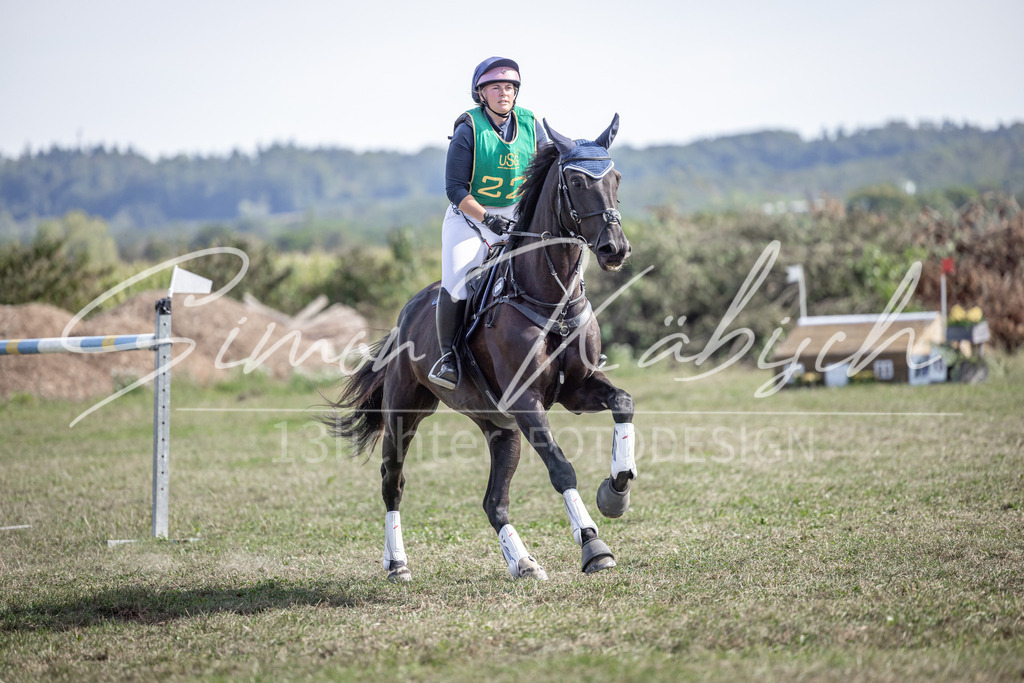 20250907-_3LI2255 | Tierfotografie Pferde, Hunde, Katzen, Haustiere.
Turnierfotografie Reitturniere, Reiten, Springreiten, Dressur in Hanau, dem Main-Kinzig-Kreis und dem Rhein-Main- Gebiet um Frankfurt