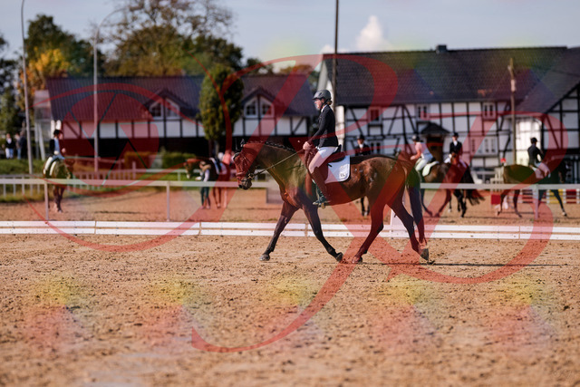 2026_10_03_Siefer-Hof_130229_Z81_56827823 | Professionelle Reitsport-, Turnier- und Eventfotografie von Robert Broda. Galerien mit ausgewählten und bearbeiteten Bildern direkt online ansehen und bestellen.