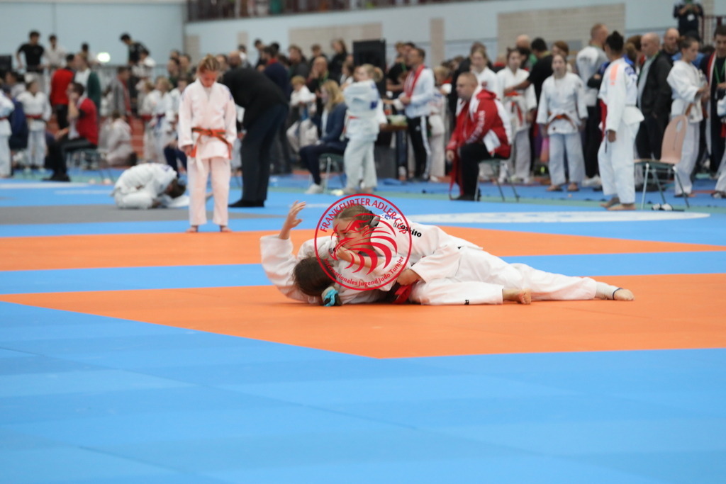 1J7A1600 | Fotos vom Adler Cup - Pictures from Adler Cup

Hier findet Ihr alle Eindrücke und großen Momente der Adler Cup Wochenenden. Here you will find all impressions and great moments of the Adler Cup weekends. - Realisiert mit Pictrs.com