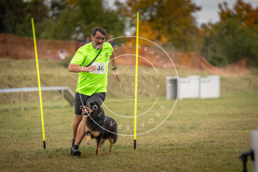 Pfotenfotografie_DV3A6378 | Hundefotografie, Tierfotograf, Pfotenfotografie, Fotoshooting Hund, Hunde Portrait, Hundesport, Hundeportraits, Heideshooting, Hunde, Sportfotograf, Hundefotograf, Turnierhundsport, THS,  - Realisiert mit Pictrs.com