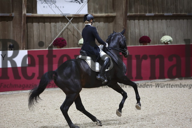 Reutlingen_2024_Prfg.Nr.04_Intermediaire I_Kür_Louisa Reisch_Bandol 3 (11) | Alle Fotos der Reiterjournal Fotografin Doris Matthaes im Reiterjournal Online-Fotoshop. - Realisiert mit Pictrs.com