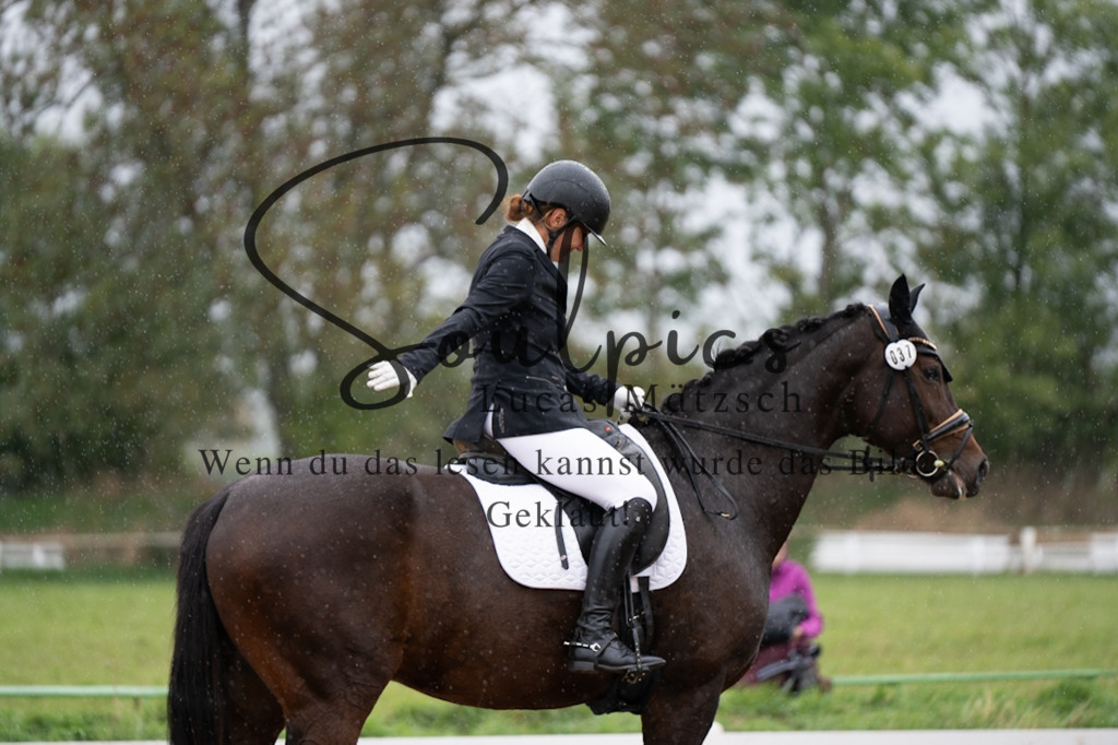 A7V05654 | Pferdefotograf