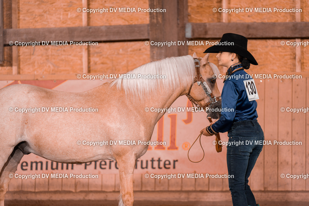 NE201530 | dv-media-shop - Realisiert mit Pictrs.com