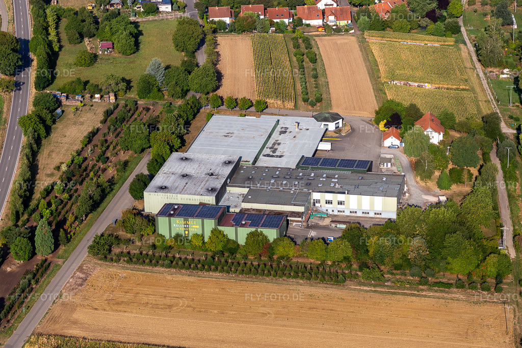 Luftbild: Julius Kimmle Weinkellerei GmbH & Co. KG im Ortsteil Kapellen in Kapellen-Drusweiler im Bundesland Rheinland-Pfalz in Deutschland. Foto: IMG_134249.jpg vom 29.08.2022 durch Werner Riehm/FLY-FOTO.deKimmle-Wein - Kimmle Weinshop