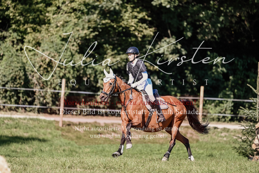 DSC_3475 | Pferde- und Turnierfotografie in Westsachsen. Pferdeportraits, Auftragszeichnungen und intuitive Kunst.