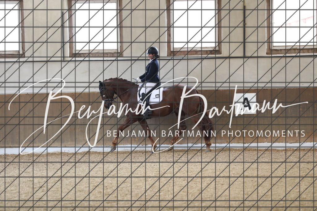 AZ2A0665 | Benjamin Bartmann Photomoments