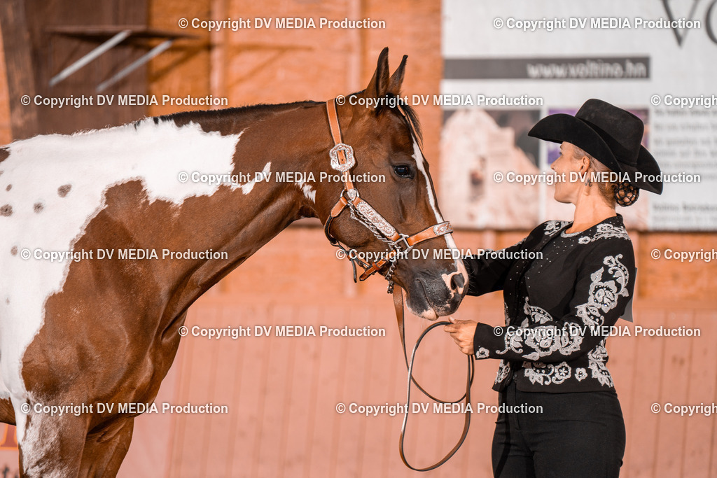 NE200055 | dv-media-shop - Realisiert mit Pictrs.com