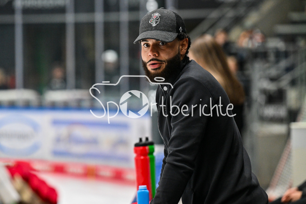 Augsburger Panther - Kölner Haie | Miles HOLLLOWAY / Einzelfoto / Freisteller