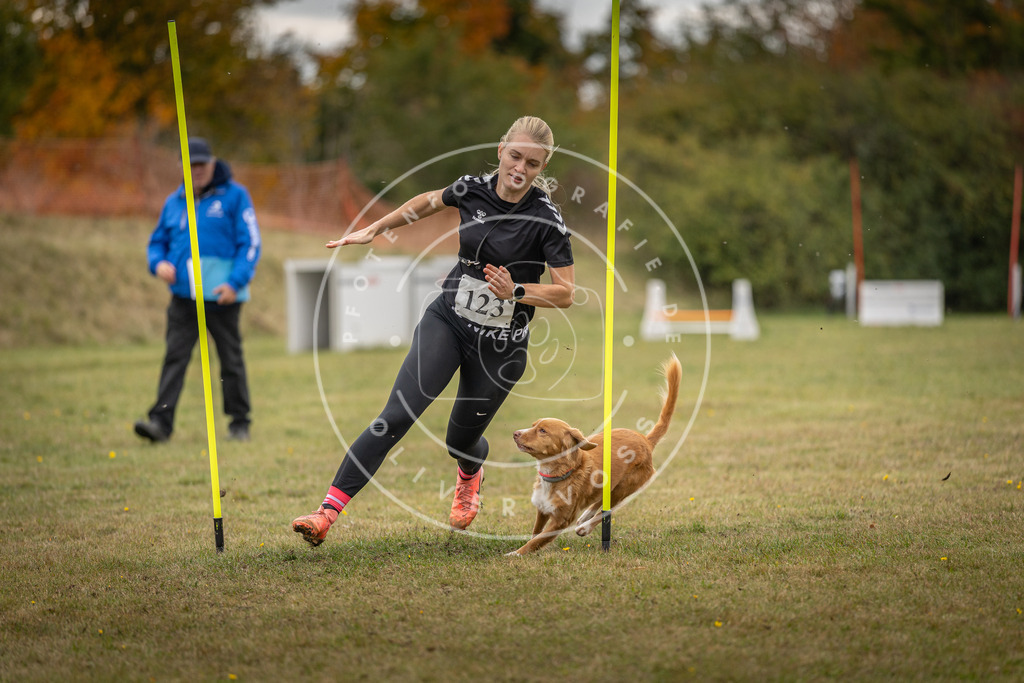 Pfotenfotografie_DV3A7476 | Hundefotografie, Tierfotograf, Pfotenfotografie, Fotoshooting Hund, Hunde Portrait, Hundesport, Hundeportraits, Heideshooting, Hunde, Sportfotograf, Hundefotograf, Turnierhundsport, THS,  - Realisiert mit Pictrs.com