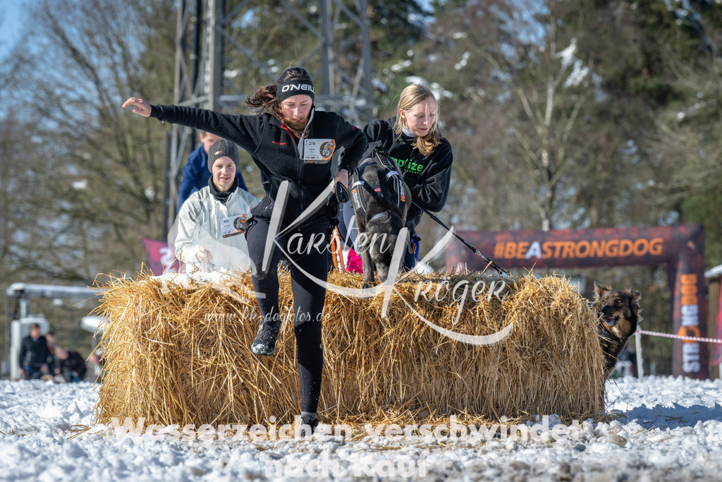 1221_ZZ92350-4 | kk-dogfotos