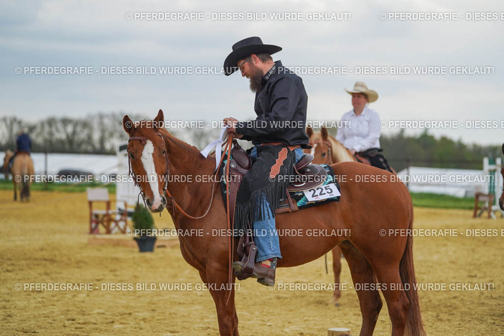 DSC08287 | Pferdegrafie