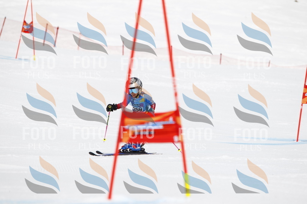 _U3G6504 | holidayphoto