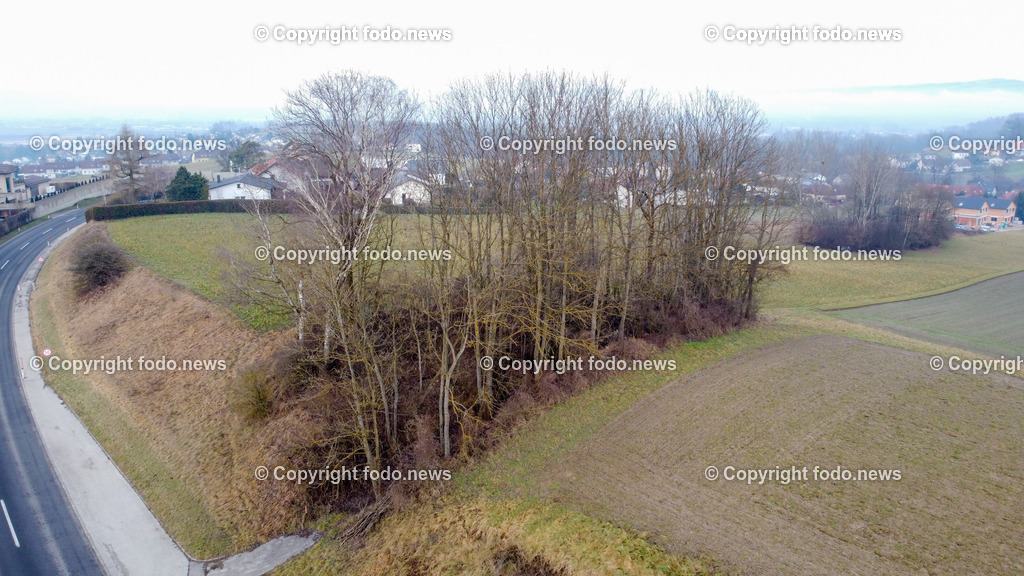 Donaulimes_ Naturdenkmal Kuhschellenboeschung_ 28.12.2022-7 | 28.12.2022, Wilhering, AUT, Donaulimes, im Bild Naturdenkmal Kuhschellenboeschung