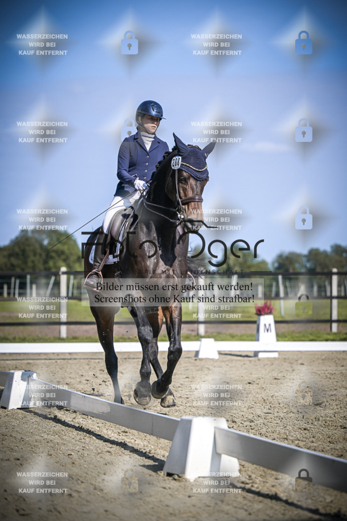 DOS_2791 | Entdecke hochwertige Reitturnierfotos von Foto Oger. Professionell, emotional und authentisch – jetzt Lieblingsmomente im Shop bestellen.Deutschlandweite Turnierfotografie. - Realisiert mit Pictrs.com