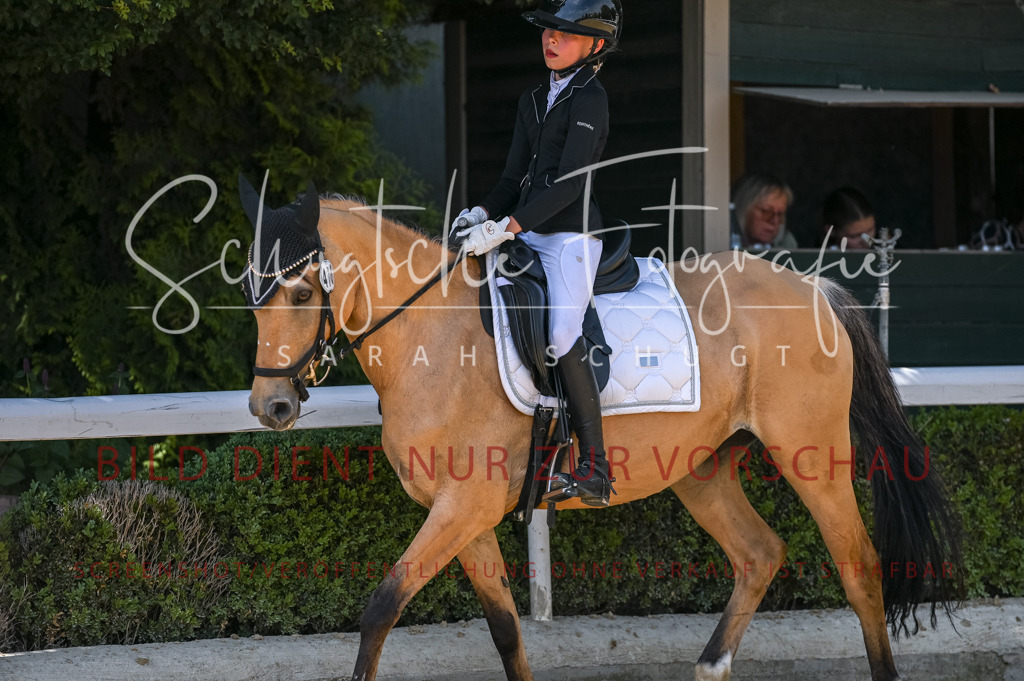 Schugtsche-Aluta25-53.Amat.Dressurprf.A2-428 | Schugtsche Fotografie - Realisiert mit Pictrs.com