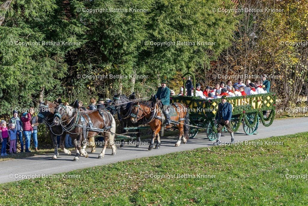 LBT25-41 | foto-bettina-krinner - Realisiert mit Pictrs.com