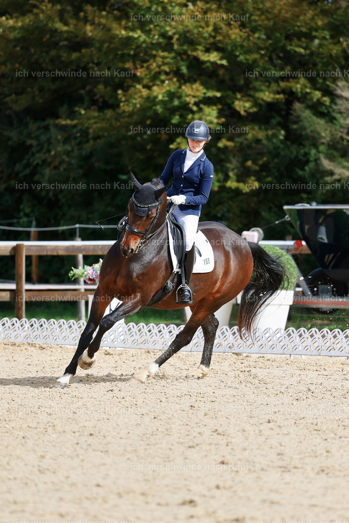 05-109-DRESSUR M_  -StoibPH-4929 | working equitationturnier fotograf videograf stoibphotography marixx film working equitation deutschland reitsport turnierfotografie eventfotografie equestrian events